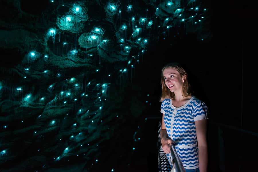 Waitomo Caves: Ruakuri Cave 1.5 Hour Guided Tour - The spiral entrance sets the tone