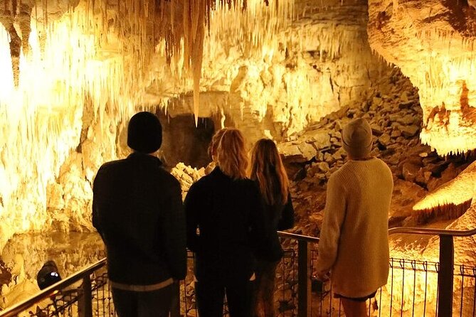 Waitomo Glow Worm Caves - Who will enjoy this Waitomo trip most?