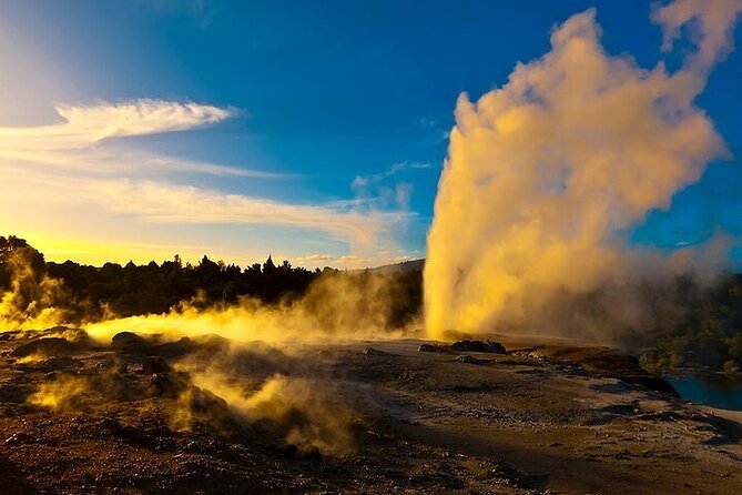 Waitomo Glow Worm Caves & Te Puia (Rotorua) Private Tour - Te Puia’s geothermal valley