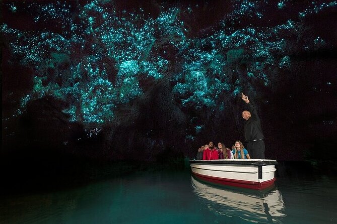 Waitomo Glow Worm Caves & Te Puia (Rotorua) Private Tour - Māori culture, kiwi viewing, and traditional skills