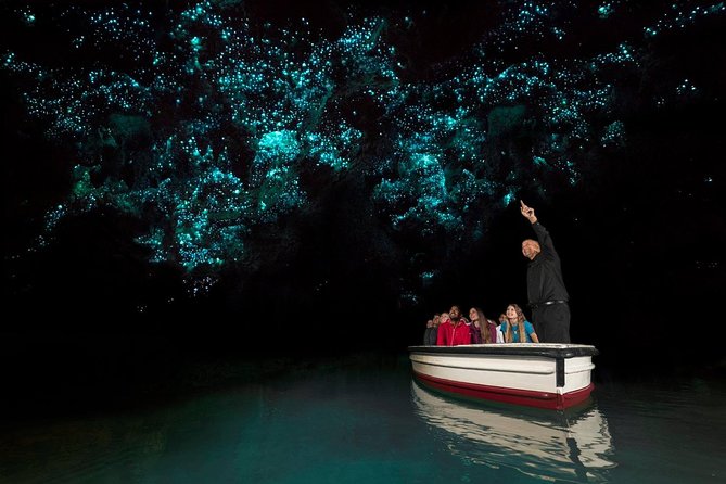 Waitomo Glowworm Caves Guided Tour - The magic begins below Waitomo Village
