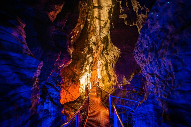 Waitomo Glowworm & Ruakuri Twin Cave - Private Tour From Auckland - Who should book this day trip