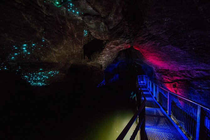 Waitomo Glowworm & Ruakuri Twin Cave - Private Tour From Auckland - Bombay Hills and the road south