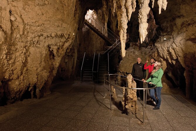 Waitomo Glowworm & Ruakuri Twin Cave Small Group Tour Ex-Auckland - What the $213.89 price includes