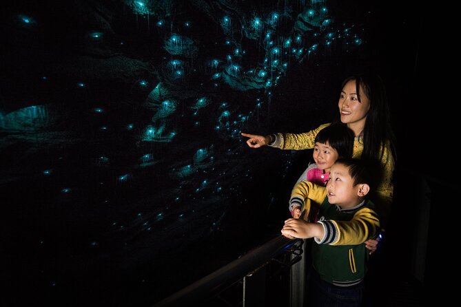 Waitomo Glowworm & Ruakuri Twin Cave Small Group Tour Ex-Auckland - A practical look at the cave conditions
