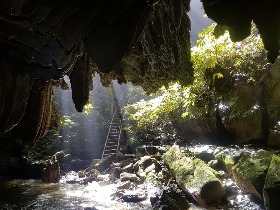 Waitomo: Guided Eco-Cave Tour - The 10-minute walk to the cave entrance
