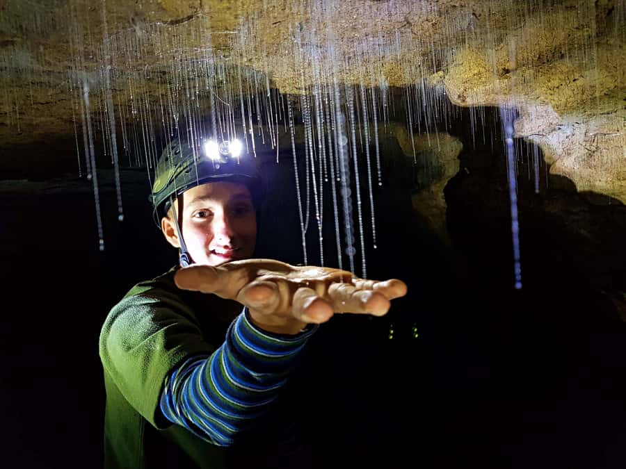 Waitomo: Guided Eco-Cave Tour - Who should book this experience?