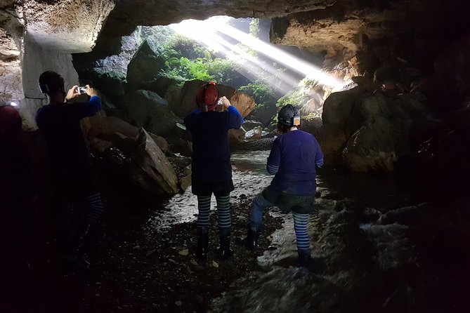 Waitomo’s Hidden Gem: Small-Group Off the Beaten Track Tour - The Glowworms: Quiet Is Part of the Experience
