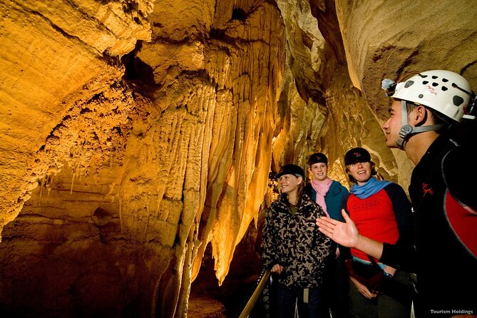 WAITOMO - Twin Caves Discovery - Private Day Tour from Auckland - Leaving Auckland before the roads fill