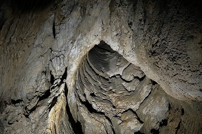 WAITOMO - Twin Caves Discovery - Private Day Tour from Auckland - Hangatiki and the giant moa