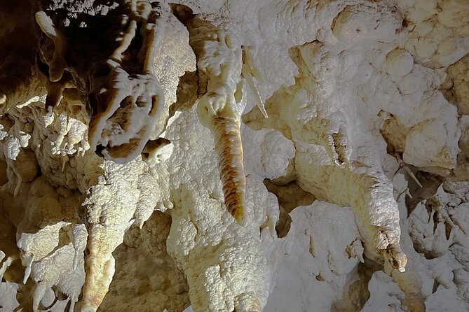 WAITOMO - Twin Caves Discovery - Private Day Tour from Auckland - The Glowworm Cave and its quiet boat ride