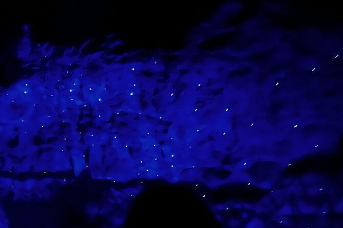 WAITOMO - Twin Caves Discovery - Private Day Tour from Auckland - Lunch and downtime at Waitomo Homestead
