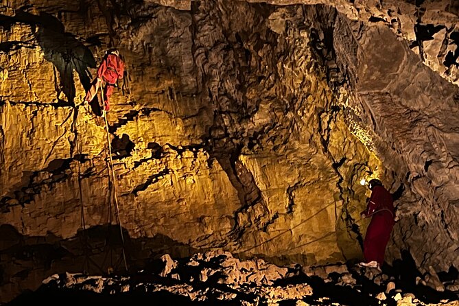 WAITOMO - Twin Caves Discovery - Private Day Tour from Auckland - Ruakuri Cave and the longer underground walk
