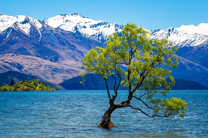 Wanaka Private Day Trip from Queenstown: TravelnGo - Key points to know before booking