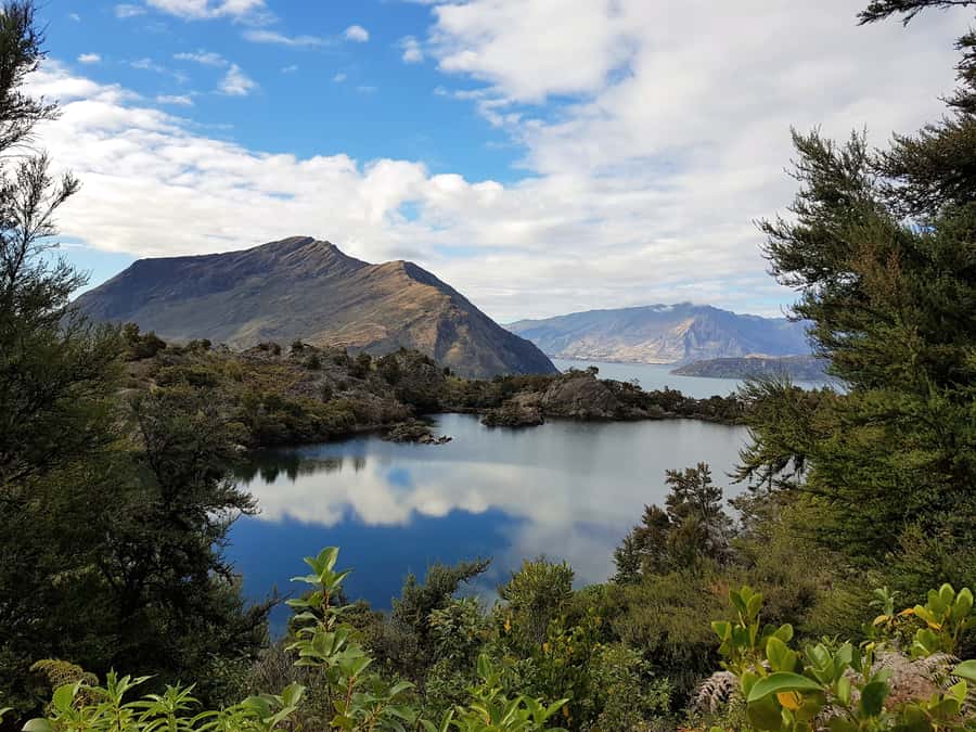 Wanaka Water Taxi Mou Waho Island Tour - A small-group outing with a flexible feel