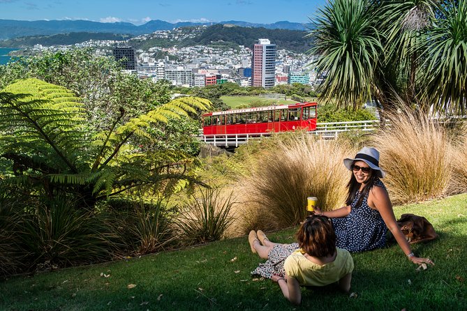 Wellington Cave to Coast Highlights Tour (5 Hours with Lunch) - Mount Victoria gives you the big picture