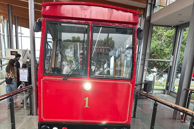 Wellington city heights shared sightseeing tour - Why this Wellington tour covers so much ground