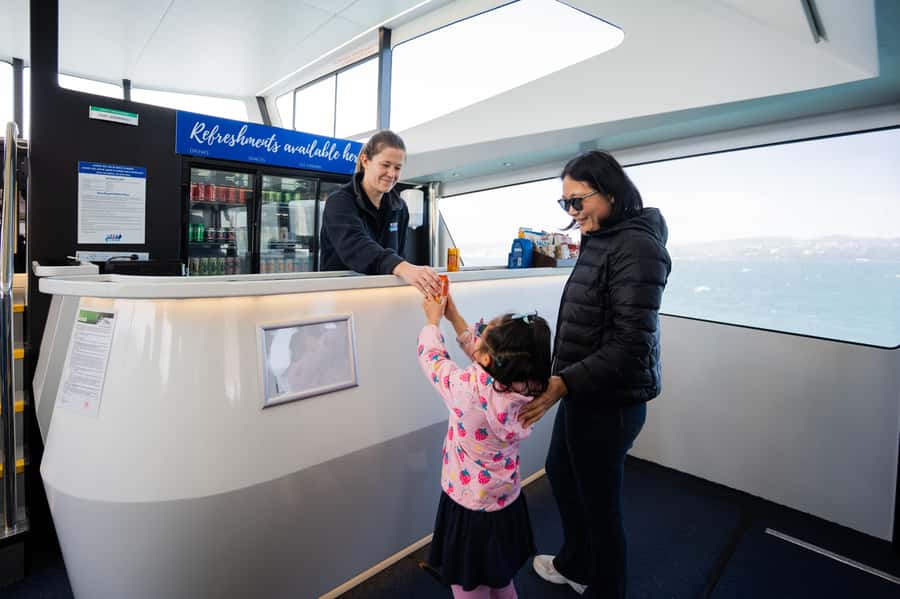 Wellington: Commentated Harbour Explorer tour - What you may see around the harbour