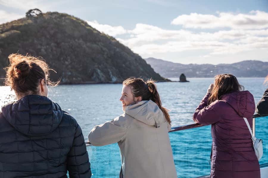 Wellington: Commentated Harbour Explorer tour - Who will enjoy Ika Rere most?