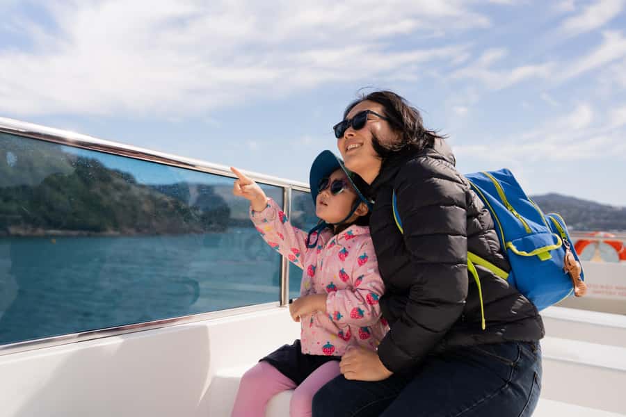 Wellington: Commentated Harbour Explorer tour - Should you book this Wellington Harbour tour?