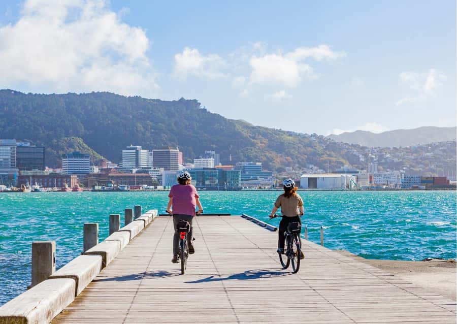 Wellington Electric Bike Rental - Mt Victoria for the big view