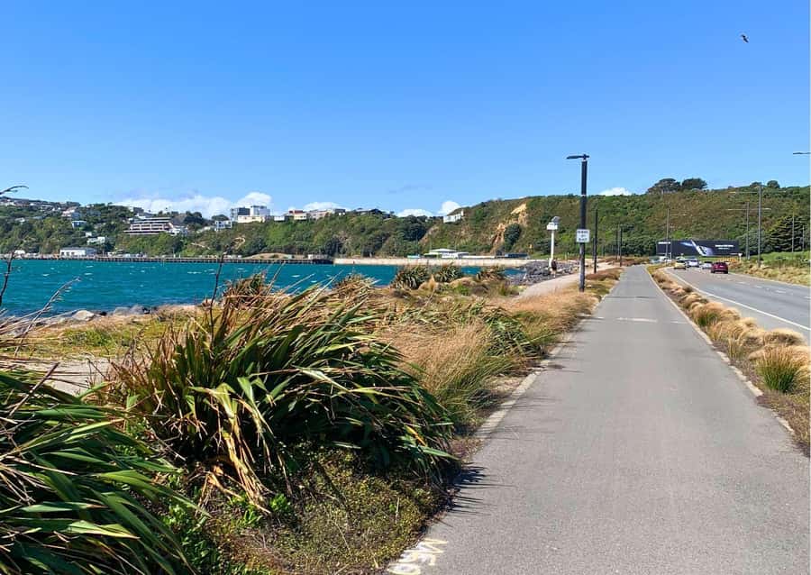 Wellington Electric Bike Rental - Te Papa, Zealandia, and city sights