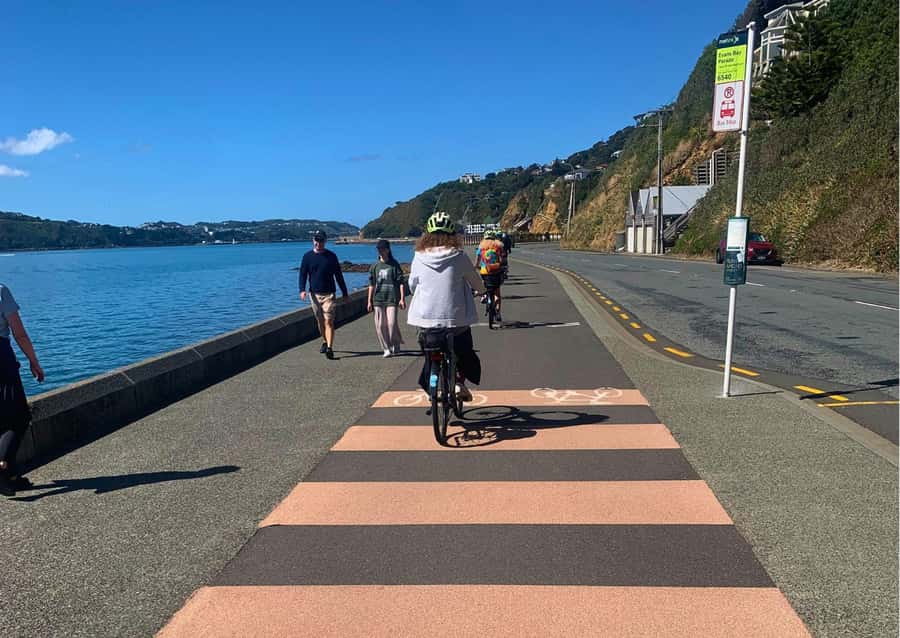 Wellington Electric Bike Rental - Pencarrow Lighthouse by ferry