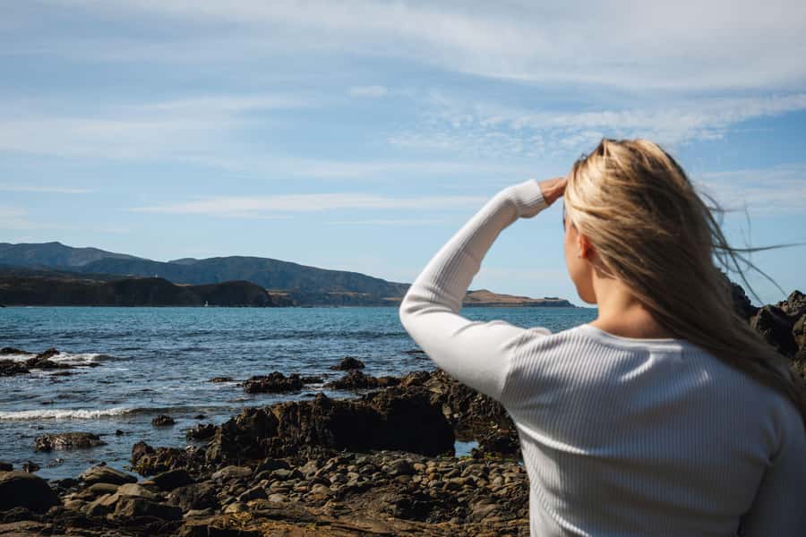 Wellington: Guided City Tour with Cable Car Ticket - Key points at a glance