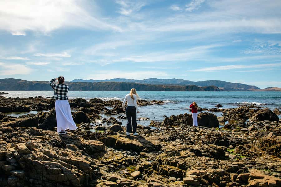 Wellington: Guided City Tour with Cable Car Ticket - Miramar, filmmaking, and native birds