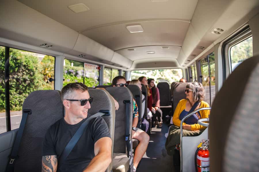 Wellington: Guided City Tour with Cable Car Ticket - Around the runway and up Mt Victoria