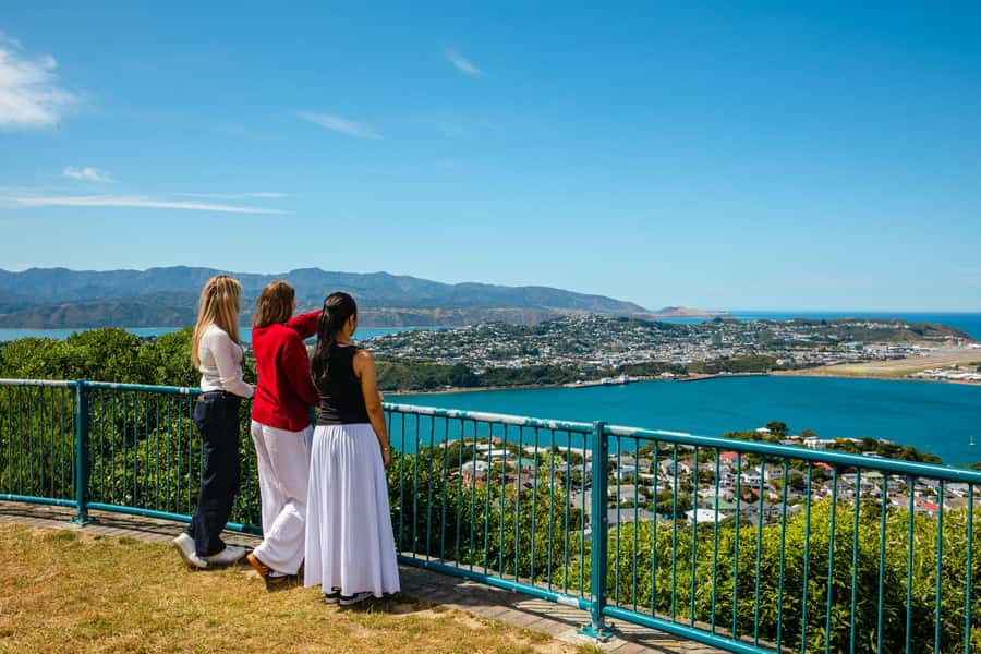 Wellington: Guided City Tour with Cable Car Ticket - The cable car ride and lookout