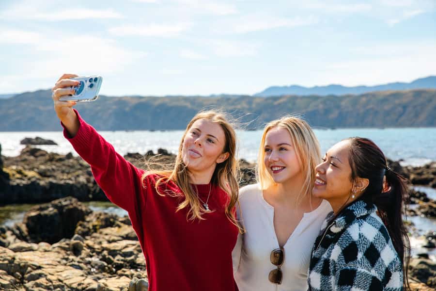 Wellington: Guided City Tour with Cable Car Ticket - Parliament, the Beehive, and Old St Paul’s