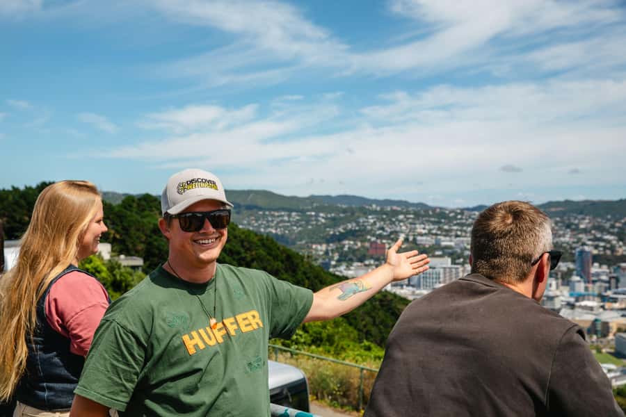 Wellington: Guided City Tour with Cable Car Ticket - How much value do you get for $53?