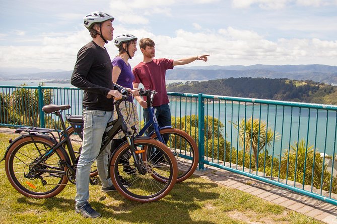Wellington Guided eBike Tour-Cruise Shore Excursion - Why an e-bike makes sense in Wellington