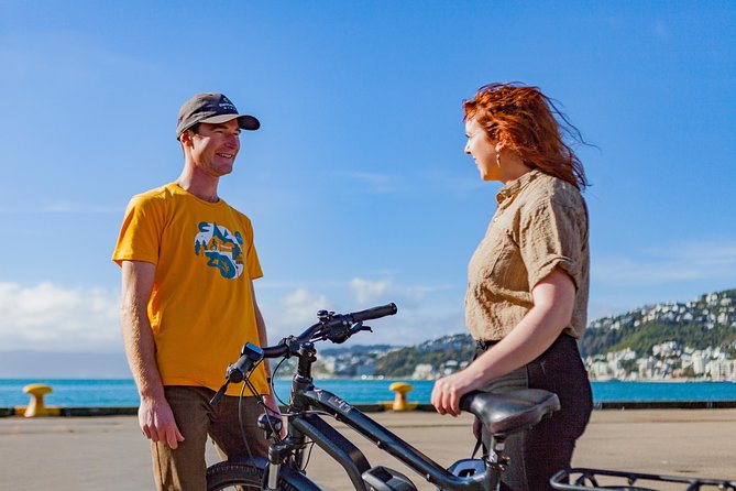 Wellington Guided eBike Tour-Cruise Shore Excursion - Oriental Bay and the wind sculpture