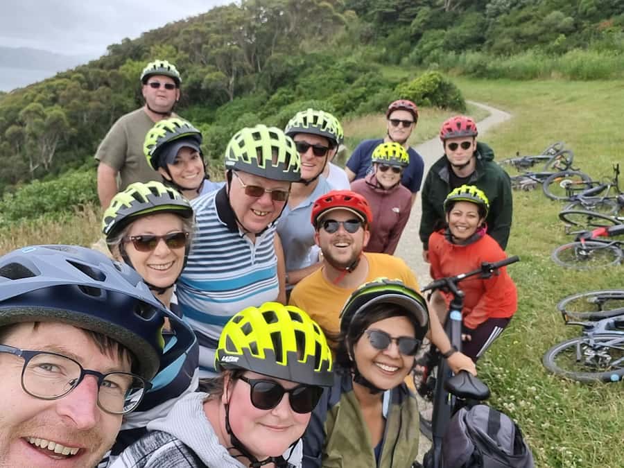 Wellington: Guided Sightseeing Tour by Electric Bike - The Lookout Above Wellington