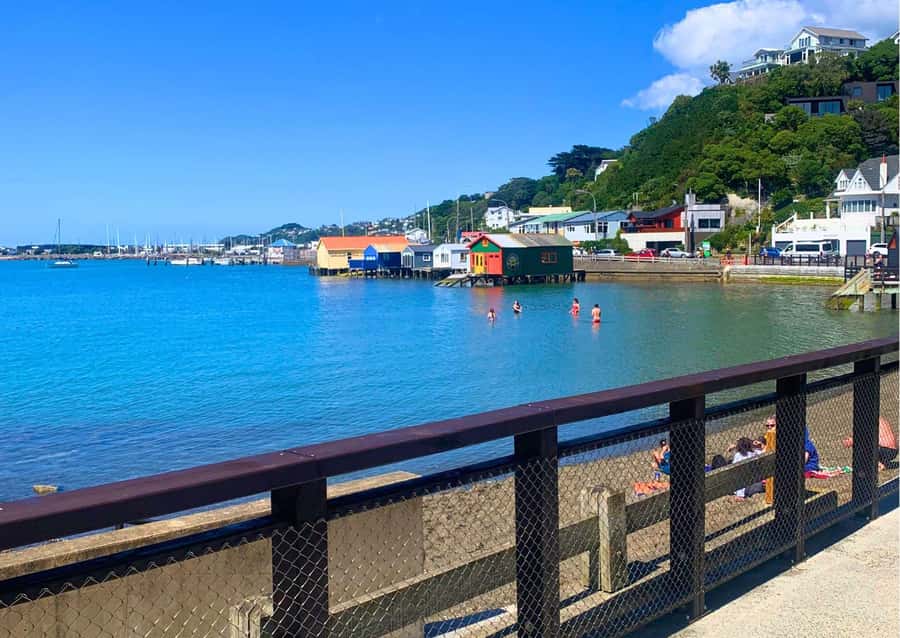 Wellington: Guided Sightseeing Tour by Electric Bike - Guide Style and Group Experience