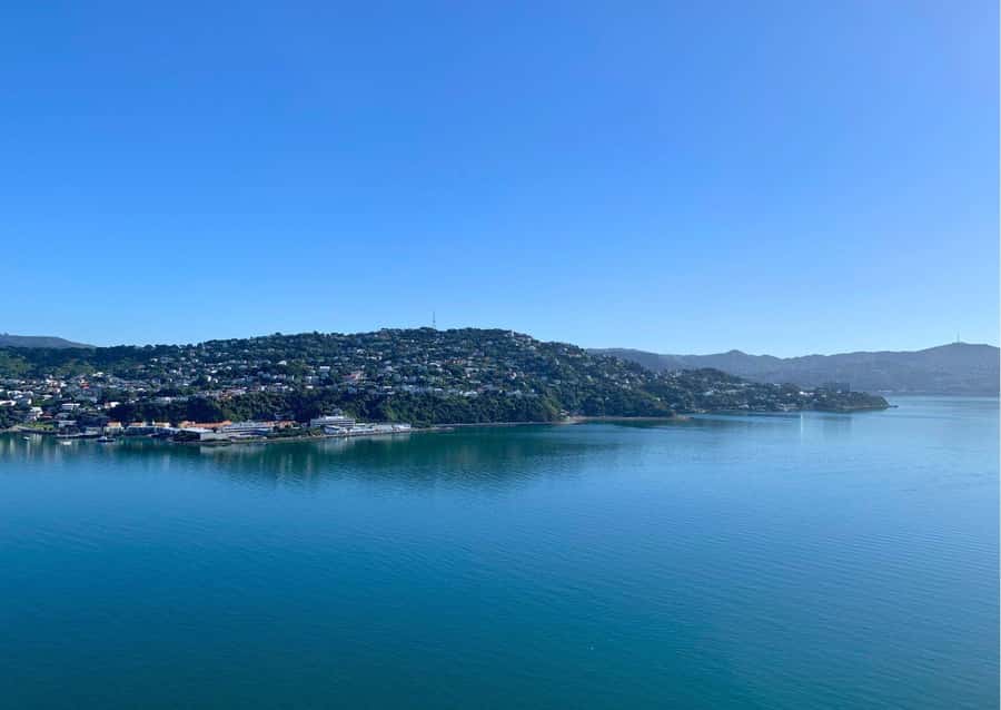 Wellington: Guided Sightseeing Tour by Electric Bike - Is $116 a Fair Price?