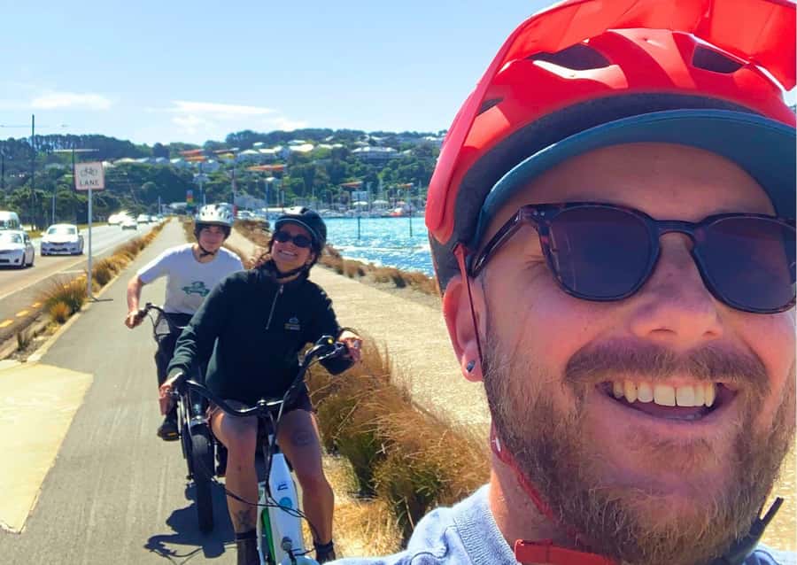 Wellington: Guided Sightseeing Tour by Electric Bike - Cruise Ship Timing and Meeting Details
