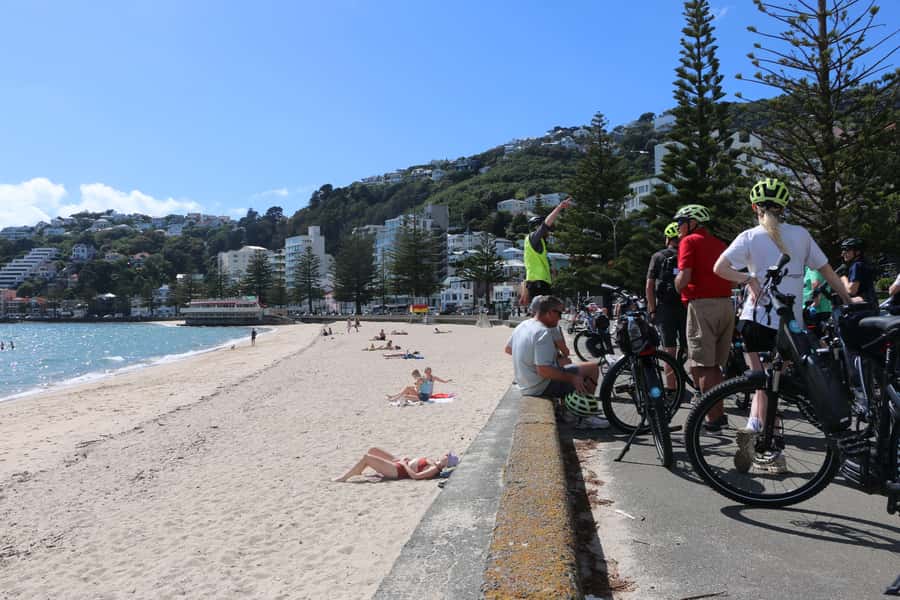 Wellington: Guided Sightseeing Tour by Electric Bike - Following the Miramar Peninsula Coast