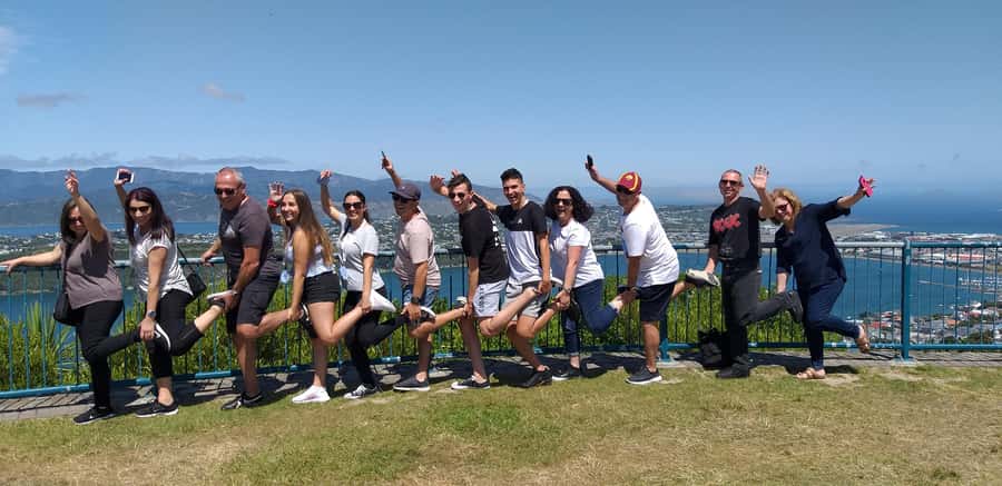 Wellington: Half-Day City Highlights Tour and Cable Car Ride - What this Wellington tour is really designed to do
