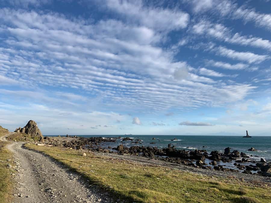 Wellington: Half Day Seal Coast Safari - Tongue Point is the clear highlight