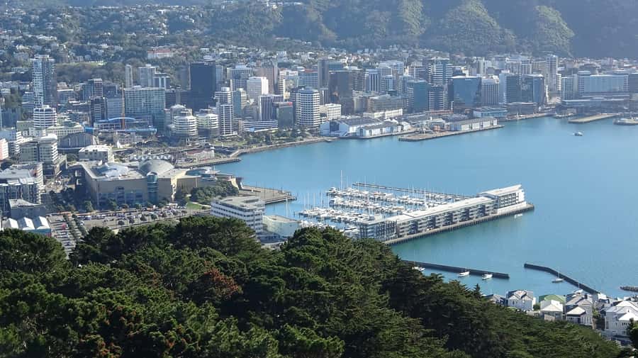 Wellington: Original LOTR Half-Day Experience with Weta - Why this four-hour tour works so well