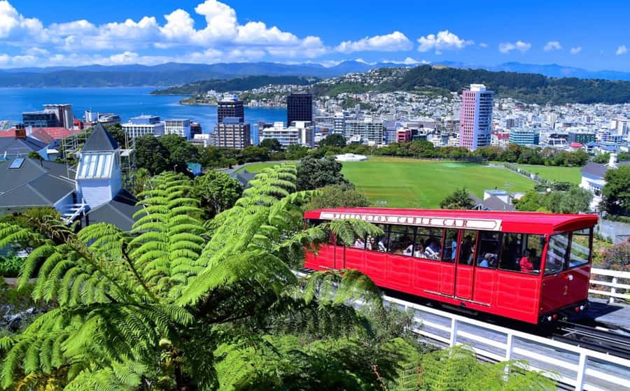 Wellington: Return Cable Car Ticket - Gardens, museum, cafe, and extra stops
