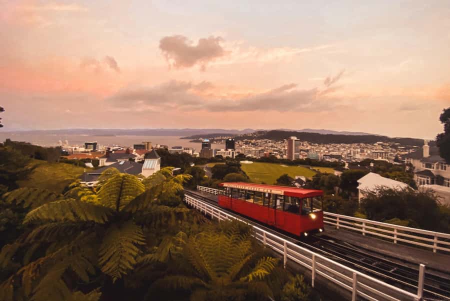 Wellington: Return Cable Car Ticket - Is the $7 fare good value?
