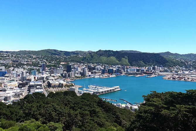 Wellington's Original HD LOTR Experience - includes Weta Tour - Weta Workshop: props, makeup, and movie craft