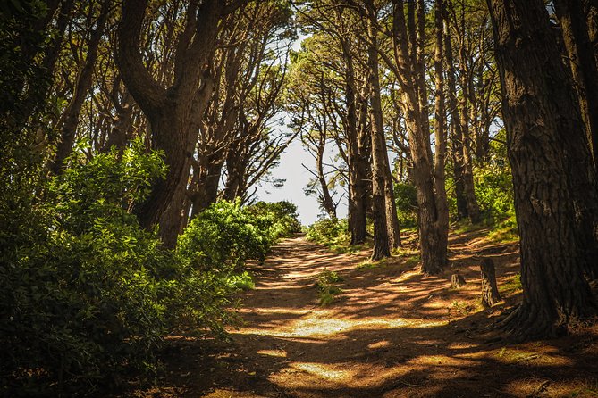 Wellington's Original HD LOTR Experience - includes Weta Tour - Timing, pickup, and practical preparation