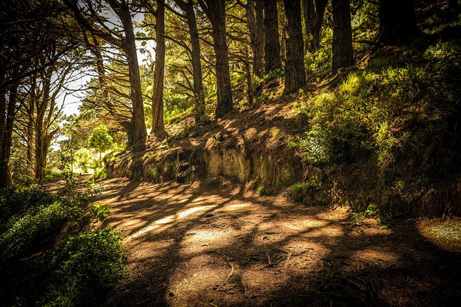 Wellington's Original HD LOTR Experience - includes Weta Tour - Who will enjoy this Wellington LOTR tour?