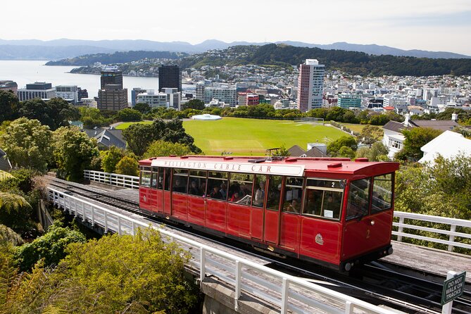 Wellington Shore Excursion City Sightseeing Tour - Key points at a glance