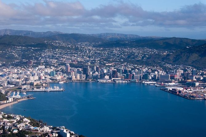 Wellington Shore Excursion City Sightseeing Tour - Why this Wellington tour works well from a cruise ship